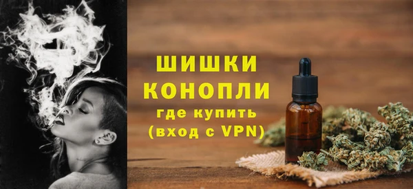 стафф Иннополис