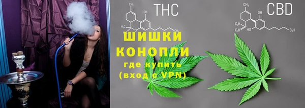 ГАЛЛЮЦИНОГЕННЫЕ ГРИБЫ Инсар